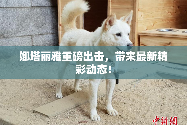 娜塔丽雅重磅出击，带来最新精彩动态！