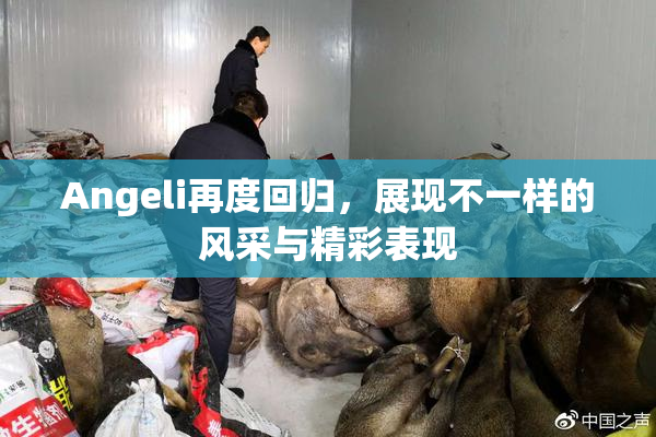 Angeli再度回归，展现不一样的风采与精彩表现