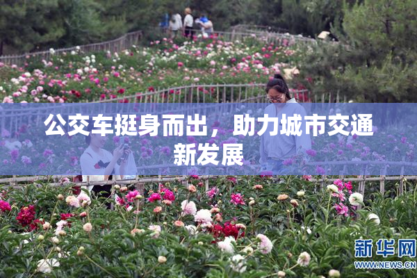 公交车挺身而出，助力城市交通新发展