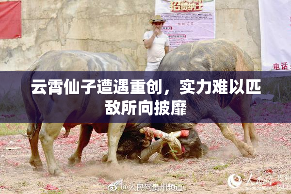 云霄仙子遭遇重创，实力难以匹敌所向披靡