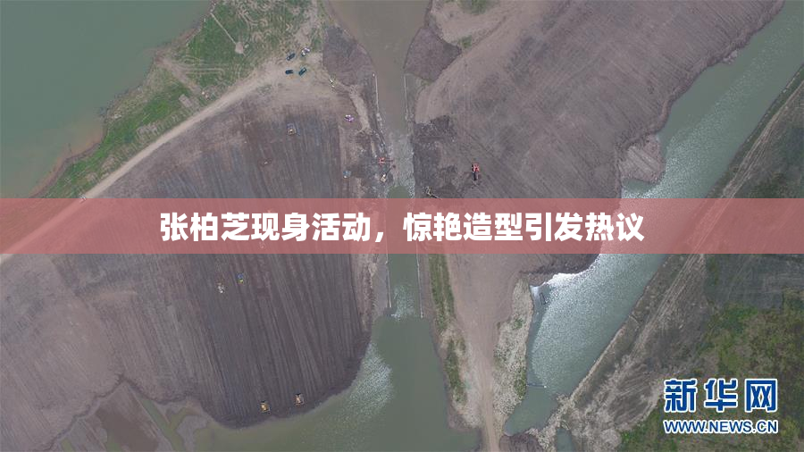 张柏芝现身活动，惊艳造型引发热议