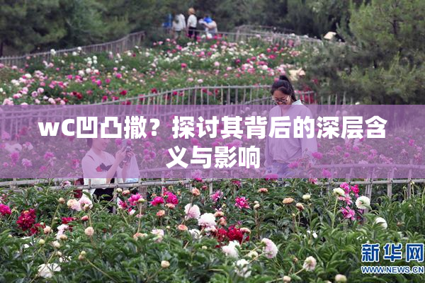 wC凹凸撒？探讨其背后的深层含义与影响