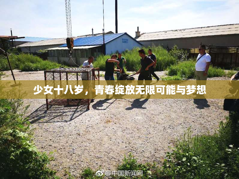 少女十八岁，青春绽放无限可能与梦想
