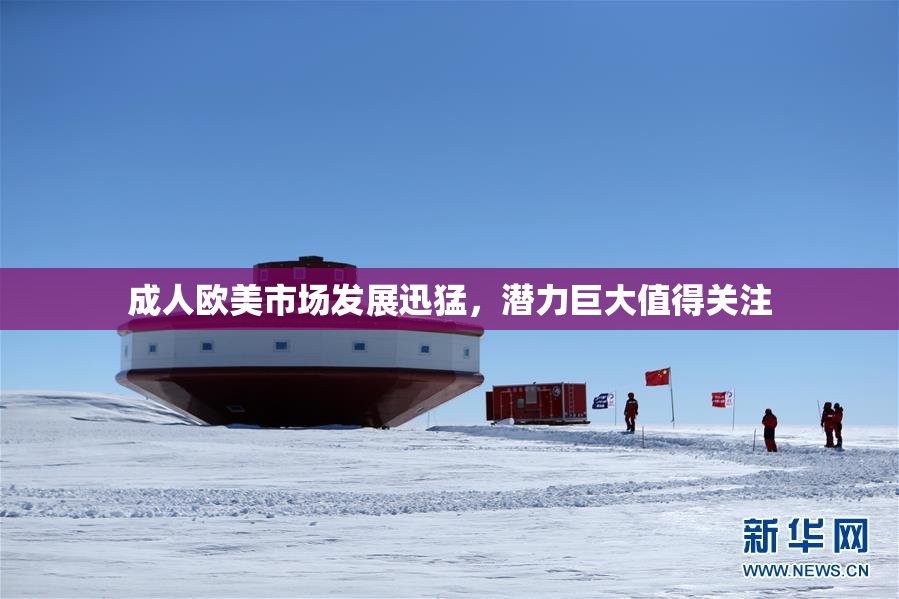 成人欧美市场发展迅猛，潜力巨大值得关注