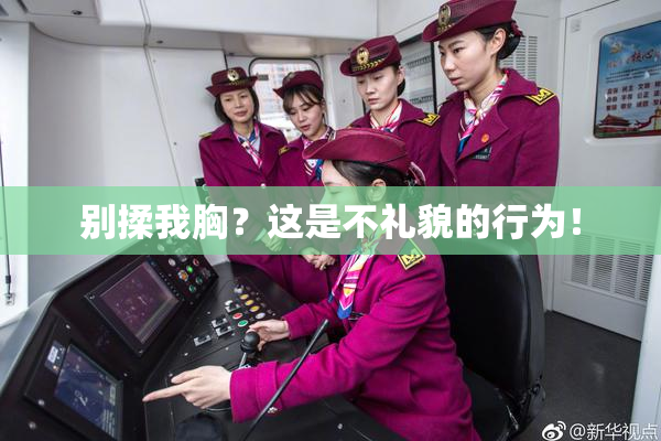 别揉我胸？这是不礼貌的行为！