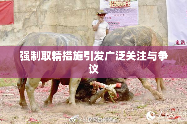 强制取精措施引发广泛关注与争议
