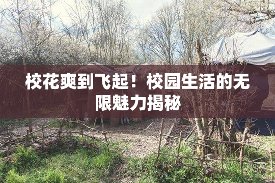 校花爽到飞起！校园生活的无限魅力揭秘