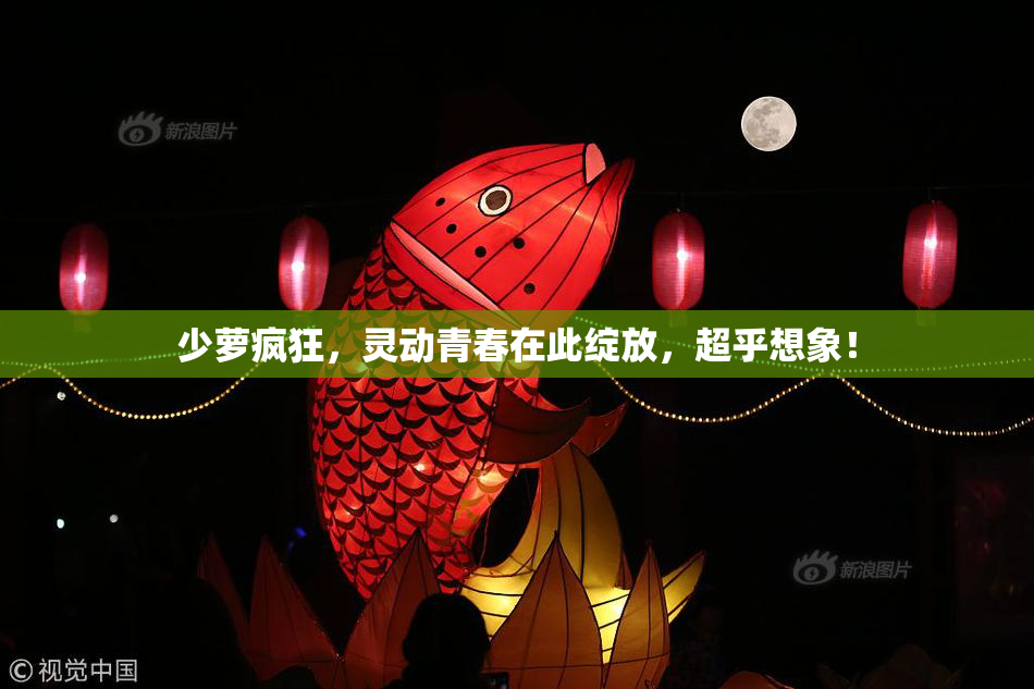 少萝疯狂，灵动青春在此绽放，超乎想象！