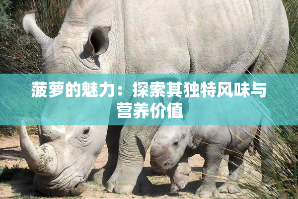 菠萝的魅力：探索其独特风味与营养价值