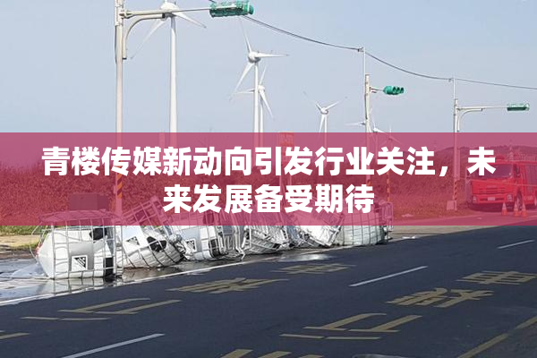 青楼传媒新动向引发行业关注，未来发展备受期待