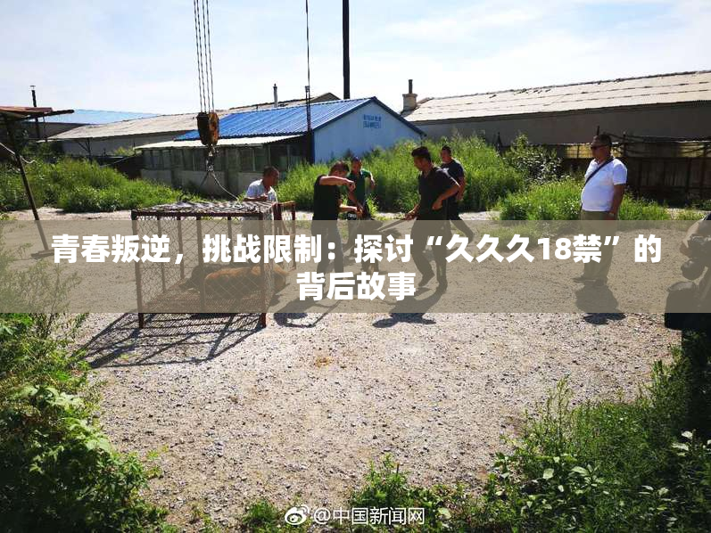 青春叛逆，挑战限制：探讨“久久久18禁”的背后故事