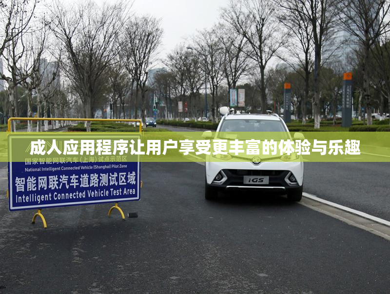 成人应用程序让用户享受更丰富的体验与乐趣