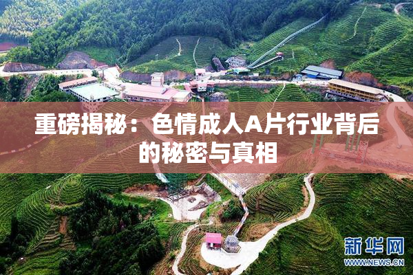 重磅揭秘：色情成人A片行业背后的秘密与真相