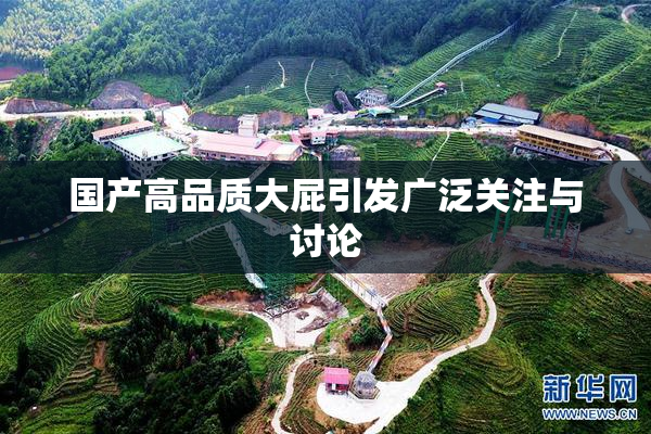 国产高品质大屁引发广泛关注与讨论