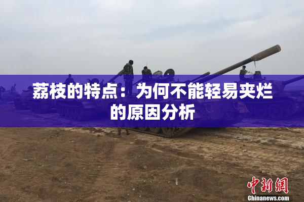 荔枝的特点：为何不能轻易夹烂的原因分析