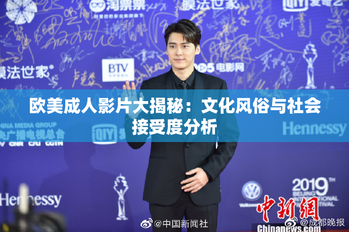 欧美成人影片大揭秘：文化风俗与社会接受度分析
