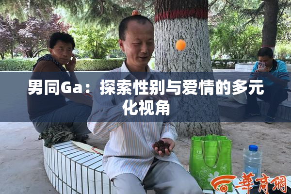 男同Ga：探索性别与爱情的多元化视角