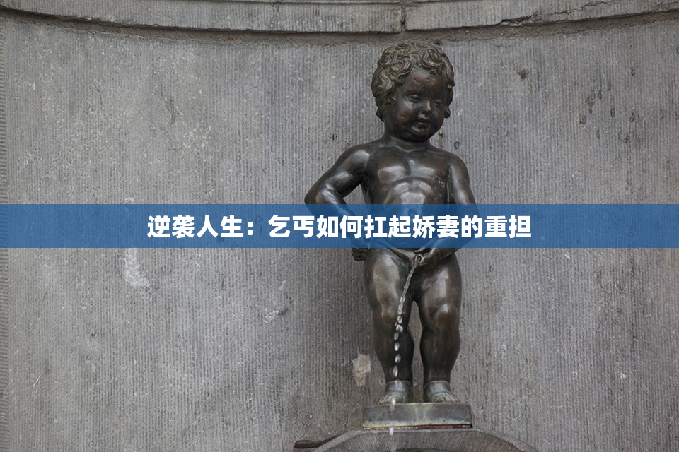 逆袭人生：乞丐如何扛起娇妻的重担