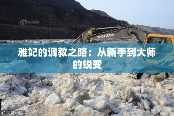 雅妃的调教之路：从新手到大师的蜕变