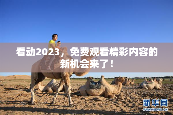 看动2023，免费观看精彩内容的新机会来了！