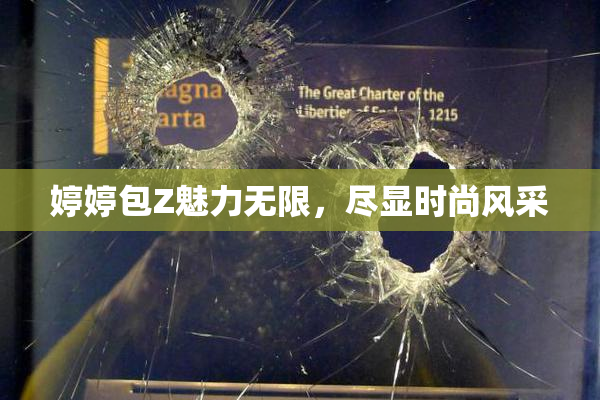 婷婷包Z魅力无限，尽显时尚风采