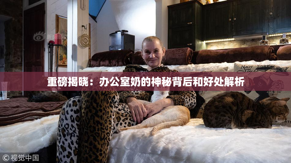 重磅揭晓：办公室奶的神秘背后和好处解析