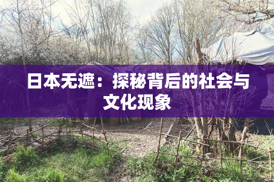 日本无遮：探秘背后的社会与文化现象