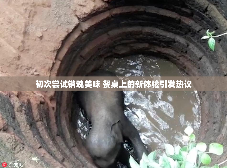 初次尝试销魂美味 餐桌上的新体验引发热议