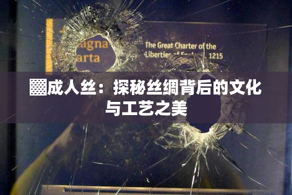 ▓成人丝：探秘丝绸背后的文化与工艺之美