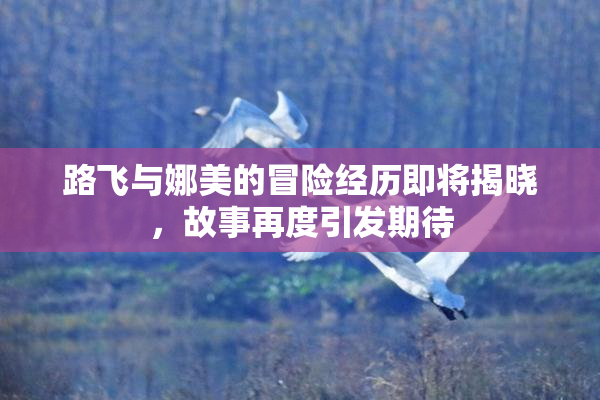 路飞与娜美的冒险经历即将揭晓，故事再度引发期待
