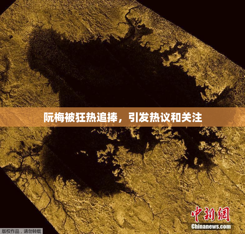 阮梅被狂热追捧，引发热议和关注