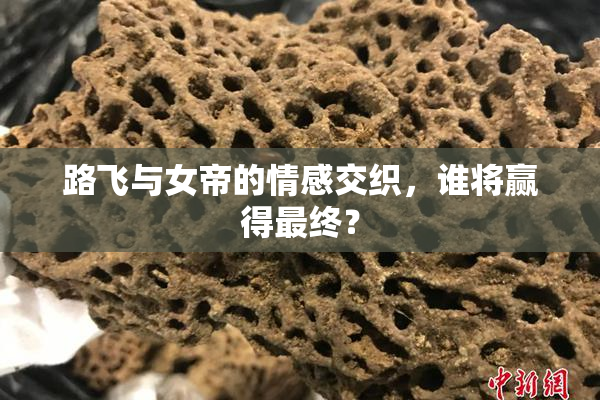 路飞与女帝的情感交织，谁将赢得最终？