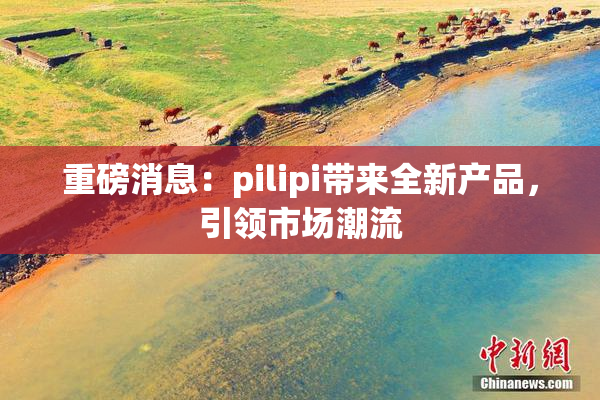 重磅消息：pilipi带来全新产品，引领市场潮流