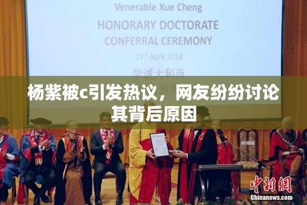 杨紫被c引发热议，网友纷纷讨论其背后原因