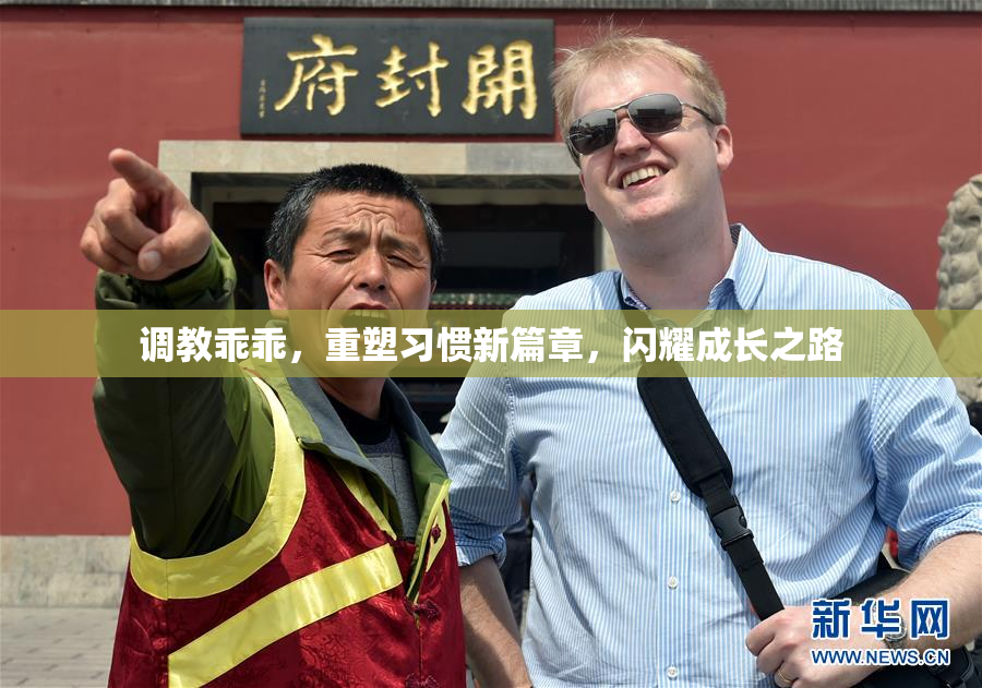 调教乖乖，重塑习惯新篇章，闪耀成长之路