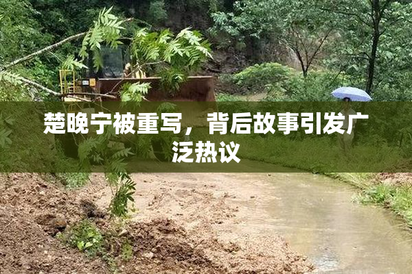 楚晚宁被重写，背后故事引发广泛热议