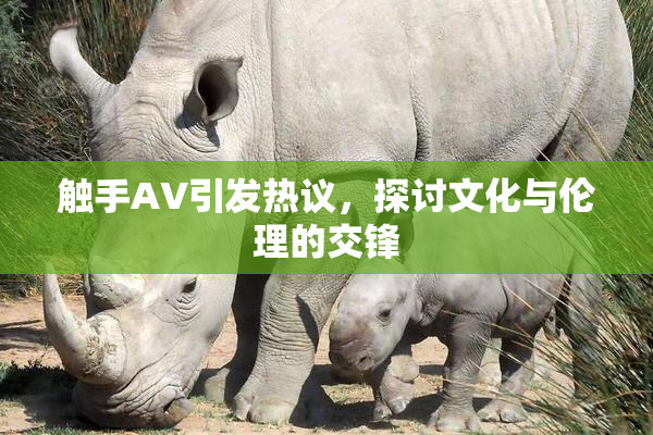 触手AV引发热议，探讨文化与伦理的交锋
