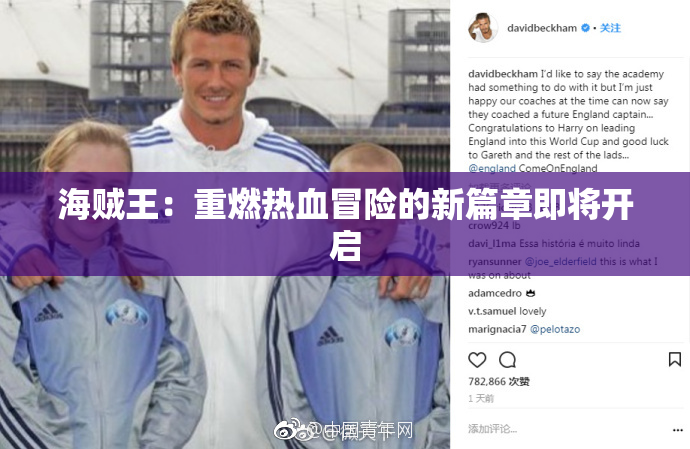 海贼王：重燃热血冒险的新篇章即将开启
