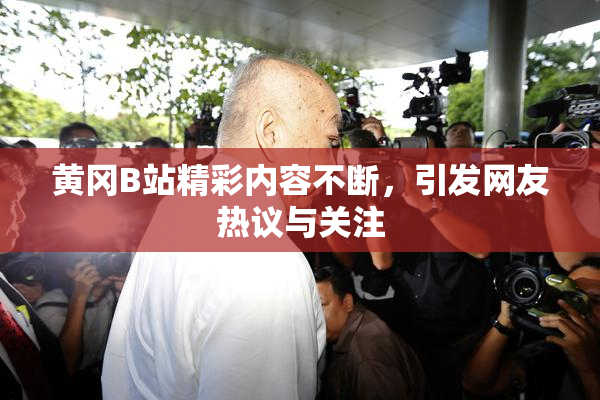 黄冈B站精彩内容不断，引发网友热议与关注