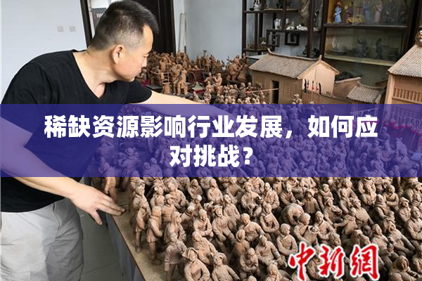 稀缺资源影响行业发展，如何应对挑战？