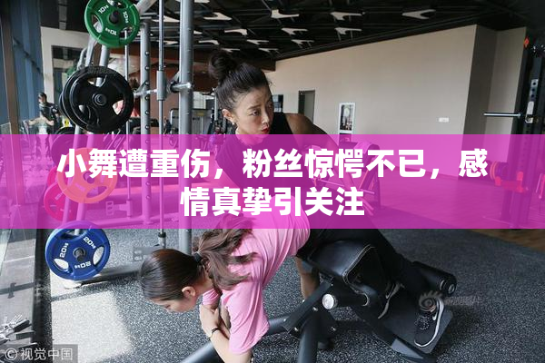 小舞遭重伤，粉丝惊愕不已，感情真挚引关注