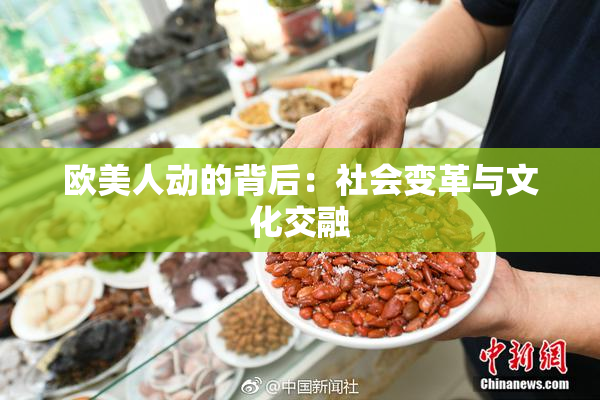 欧美人动的背后：社会变革与文化交融