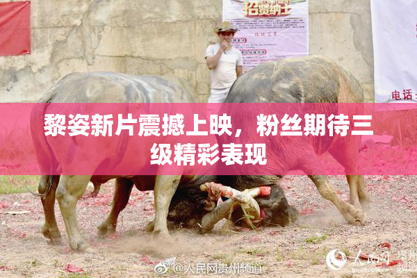 黎姿新片震撼上映，粉丝期待三级精彩表现