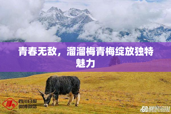 青春无敌，溜溜梅青梅绽放独特魅力