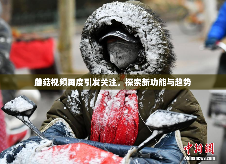 蘑菇视频再度引发关注，探索新功能与趋势