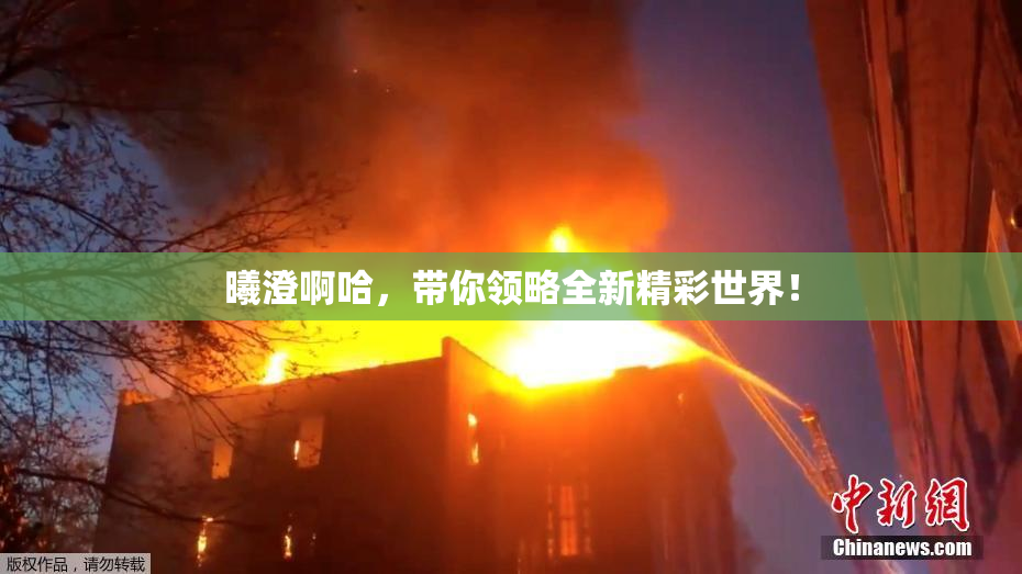 曦澄啊哈，带你领略全新精彩世界！