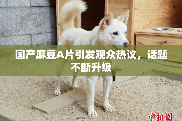 国产麻豆A片引发观众热议，话题不断升级
