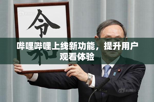 哔哩哔哩上线新功能，提升用户观看体验