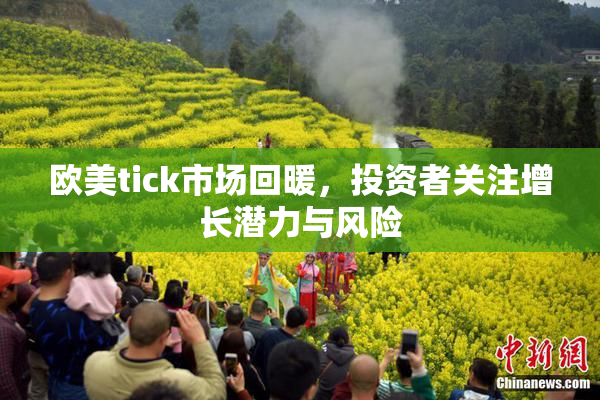 欧美tick市场回暖，投资者关注增长潜力与风险