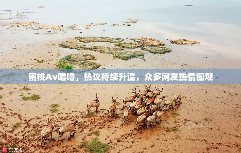 蜜桃Av噜噜，热议持续升温，众多网友热情围观